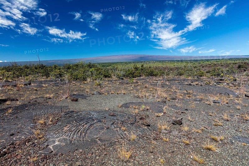 Pahoehoe lava from Kilauea volcano eruptions