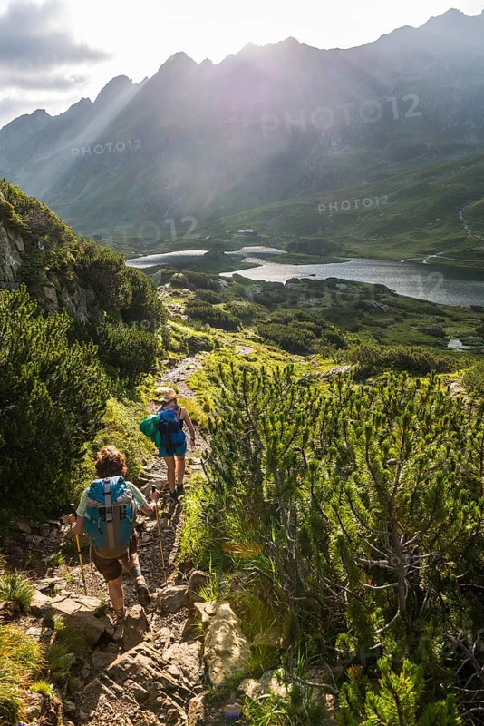 Two hikers on a trail in the morning