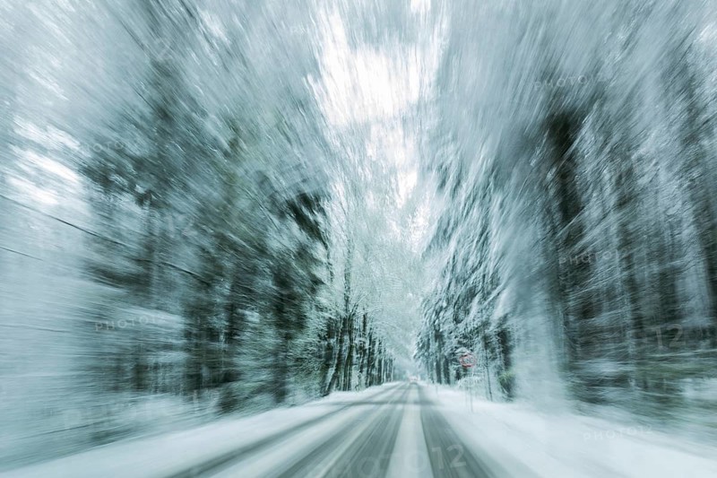 Road through snowy forest