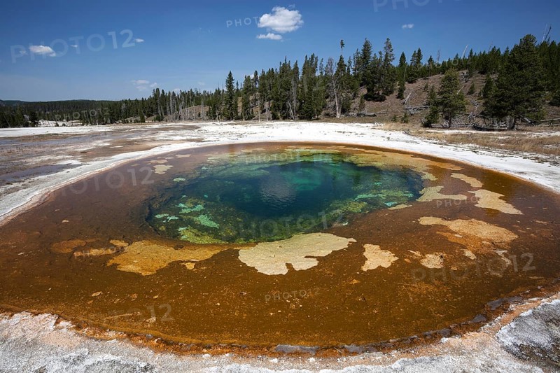 Beauty Pool