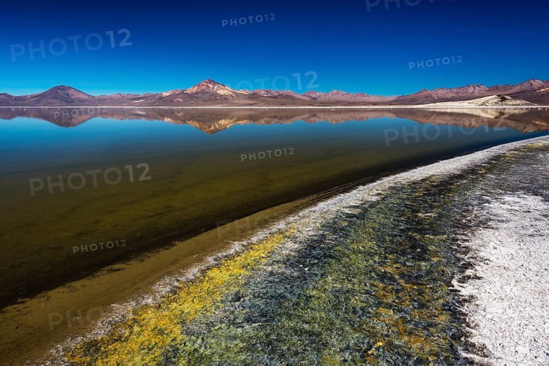 Salt Lake Salar de Surire