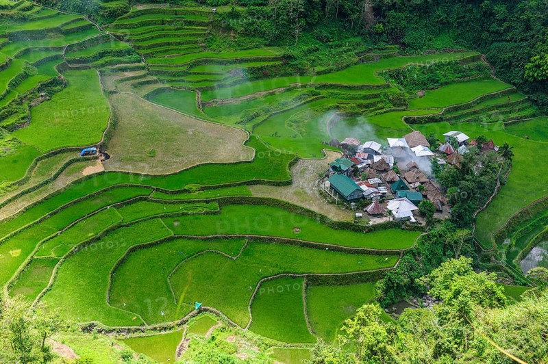 Bangaan in the rice terraces of Banaue