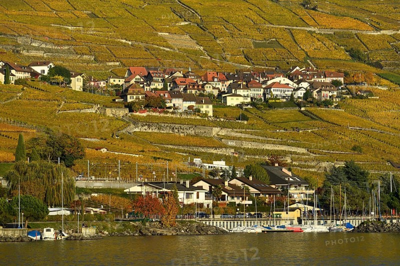 Vineyards in autumn with wine village Epesses