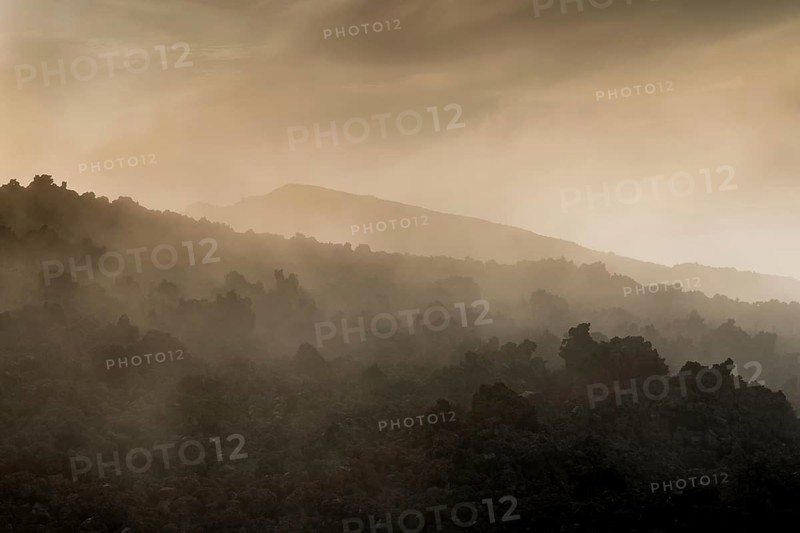 Fog over lava field
