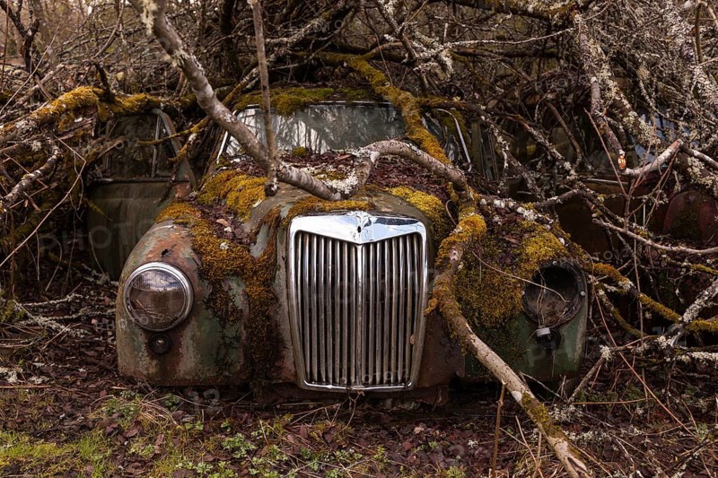 Oldtimer