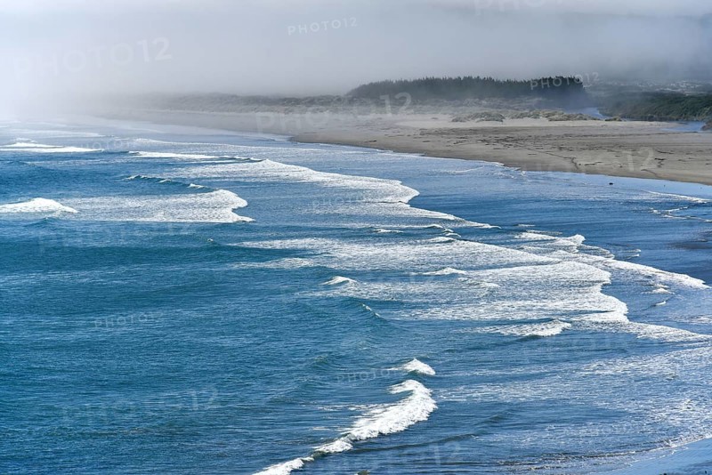 Pacific Coast in fog near Punihuil