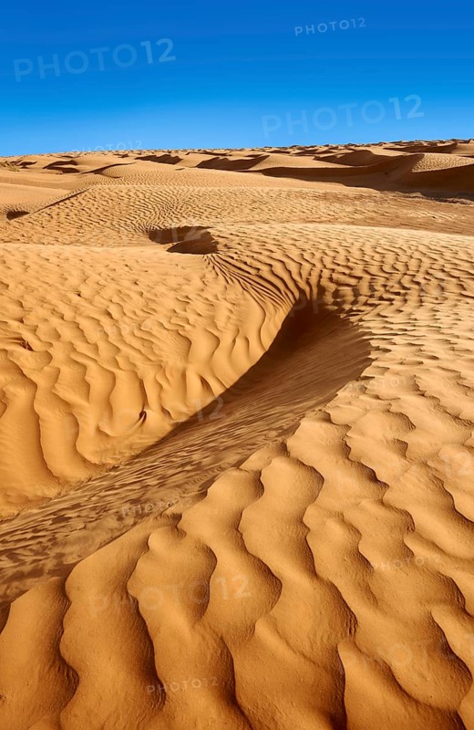 Sand dunes of Erg Oriental