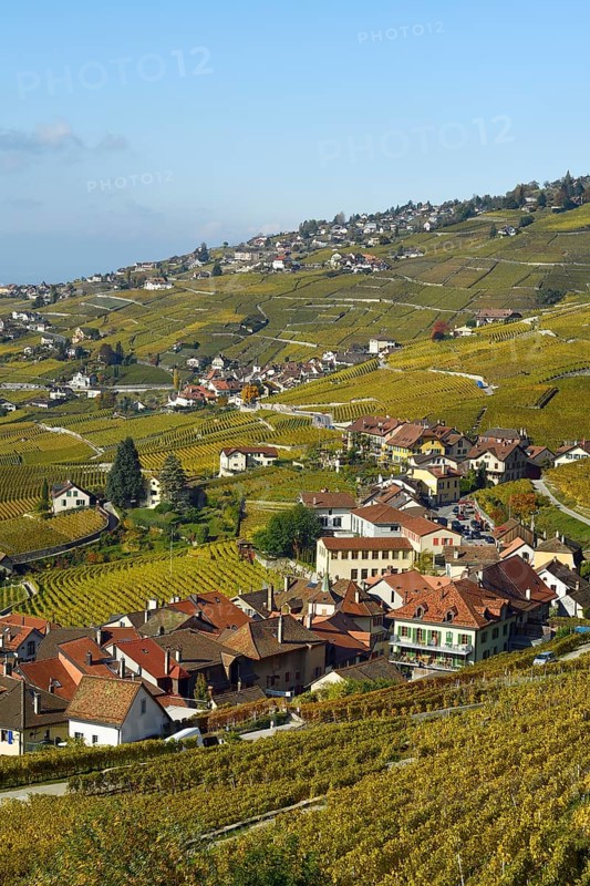 Vineyards in autumn with view of winemaking villages Epesses and Riex