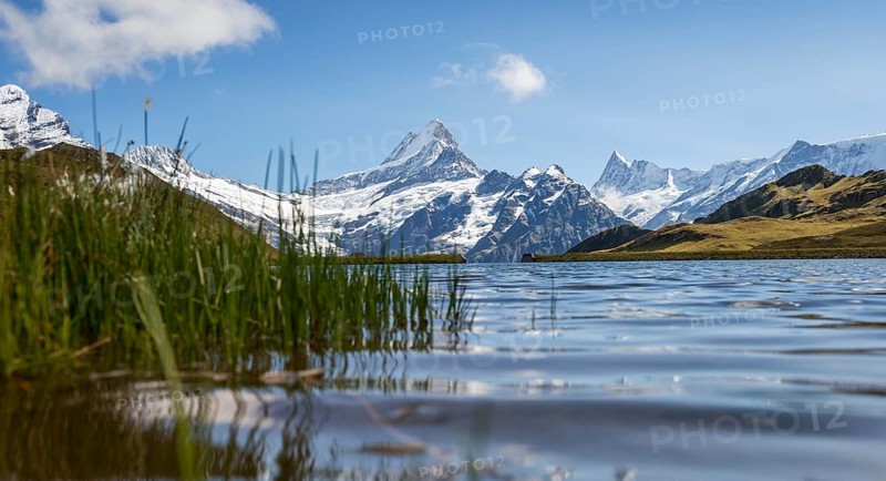 Reflection in Bachalpsee