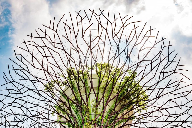Supertree