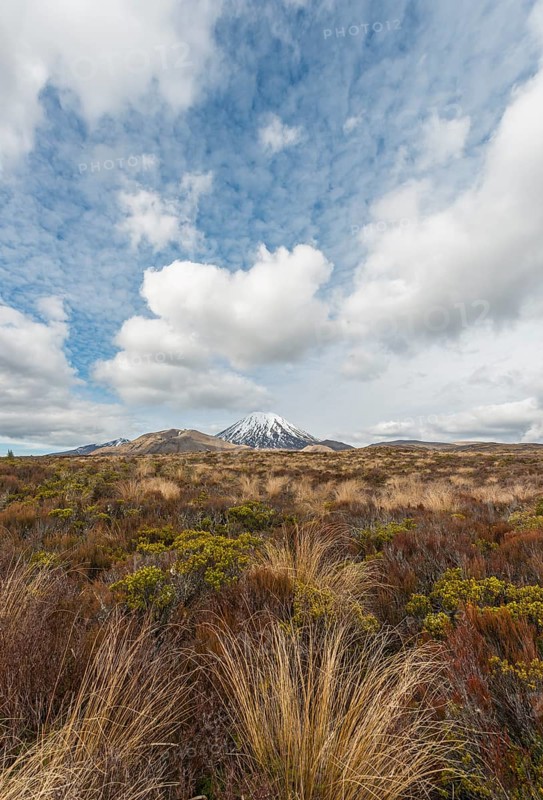 Volcano Mount Tongariro and Mount Ngauruhoe