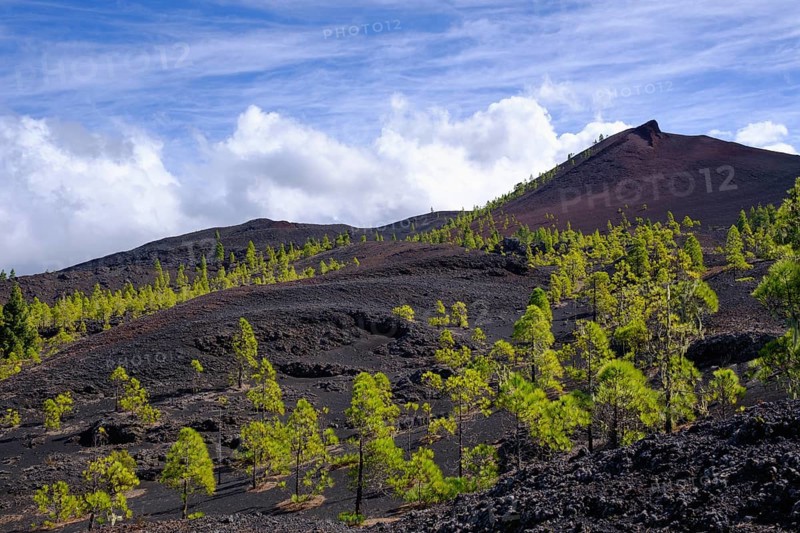 Montana Negra or Volcan Garachico