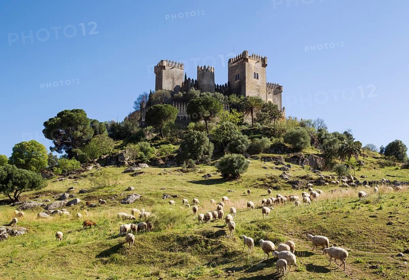 Castle of Almodovar del Rio with a flock of sheep