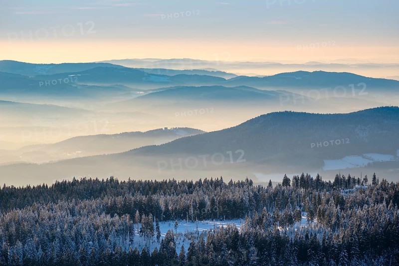 Fog in the valley