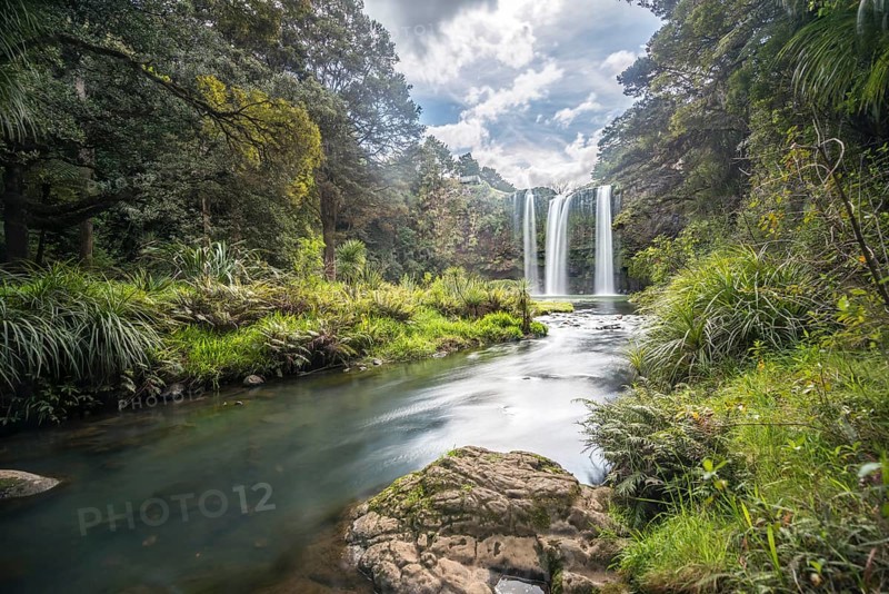 Whangarei Waterfall
