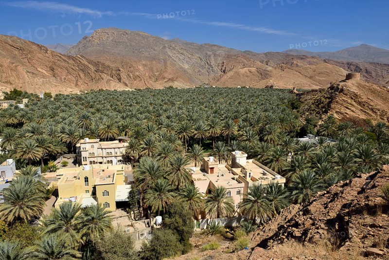Birkat al Mawz oasis