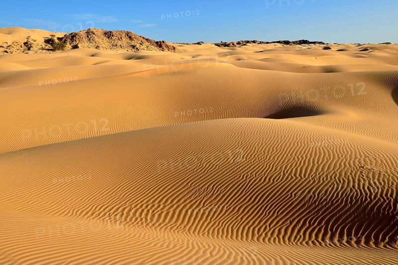 Sanddunes of Al Khaluf desert