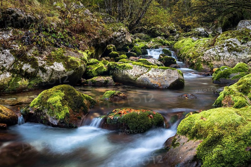 Creek with mossy rocks