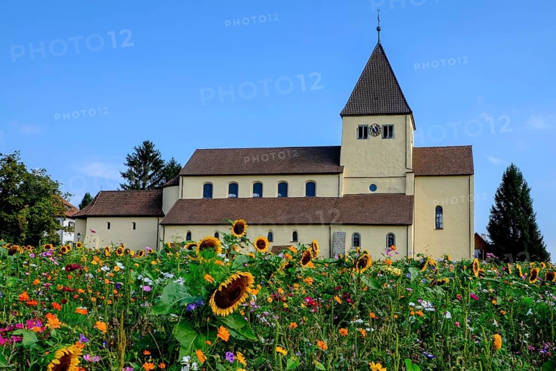 Meadow of flowers in front of George Church