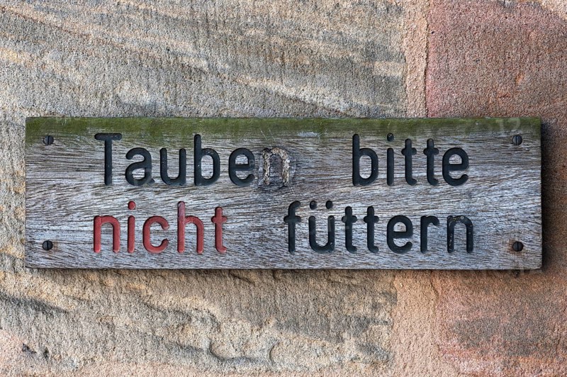 Sign prohibiting pigeon feeding