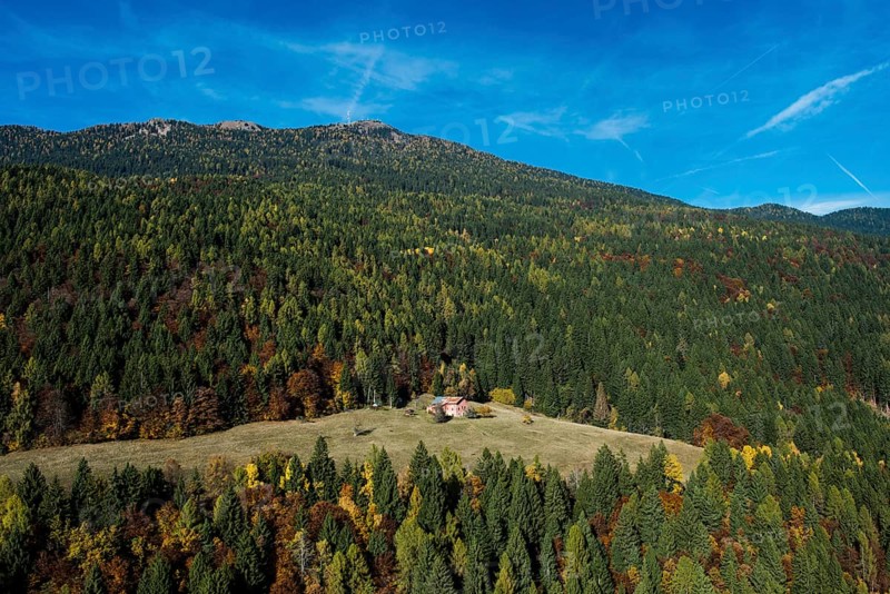 Mountain forest at the Panarotta in autumn