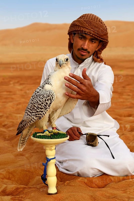 Falconer with Falcon