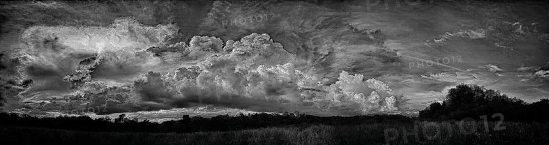 Panoramic view