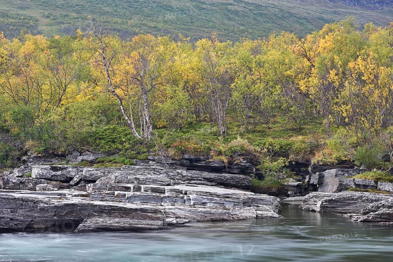 Abisko canyon in the fall