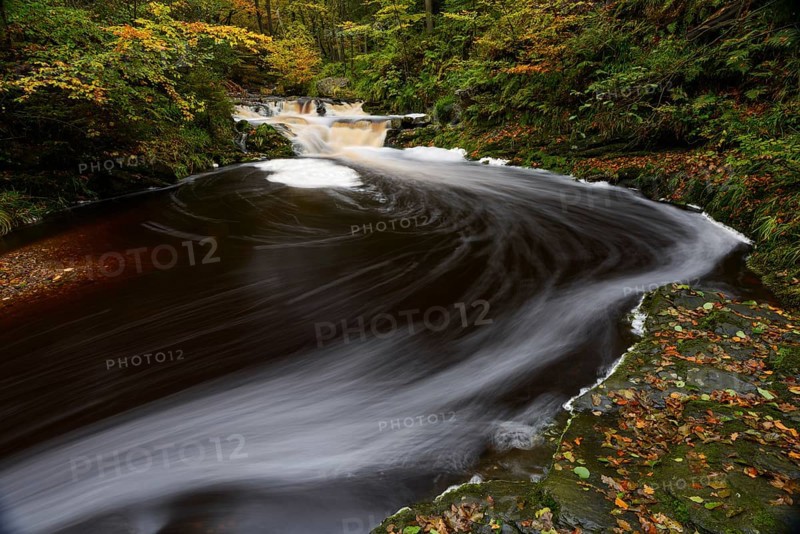Stream of the Hoegne in autumn