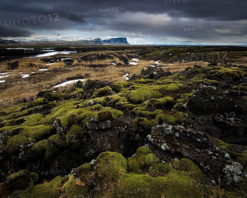 Moss-covered lava rock