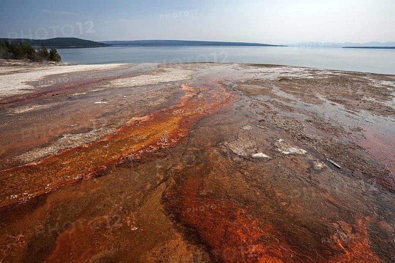 Mineral deposits in the West Thumb Geyser Basin
