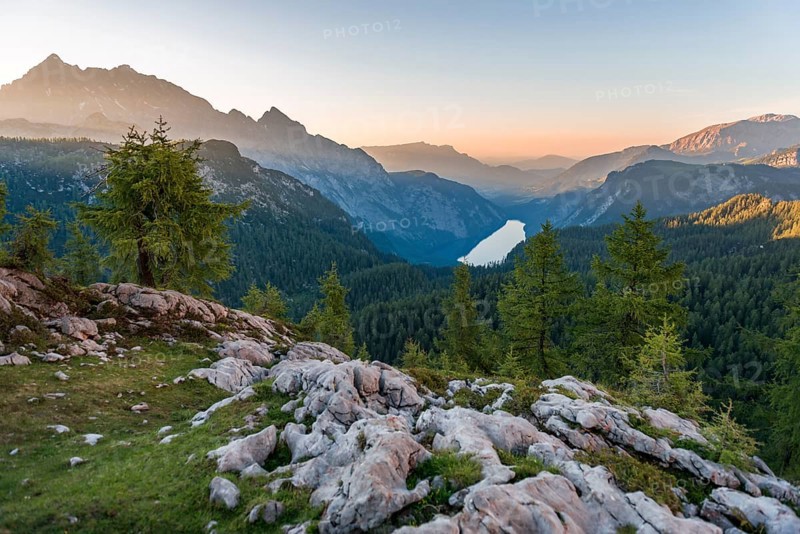 Panorama