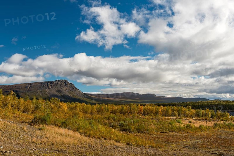 Autumn in Stora Sjofallet National Park