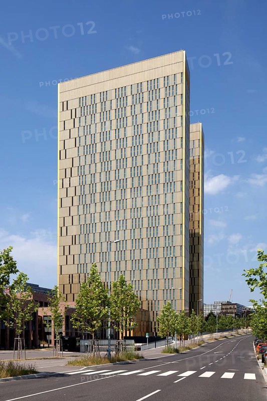 European Court of Justice