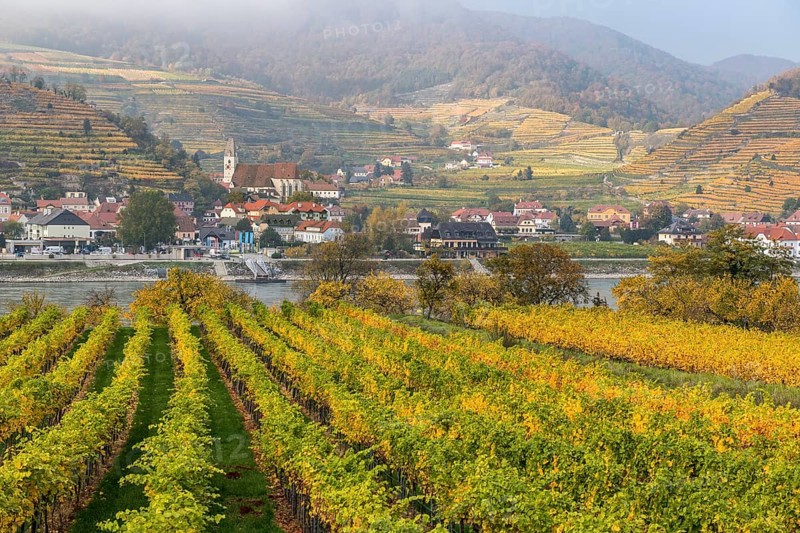 Village view Spitz an der Donau