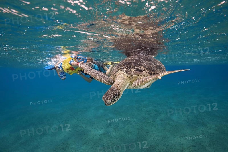 Woman and little boy with mask and fins swim with Green Sea Turtle