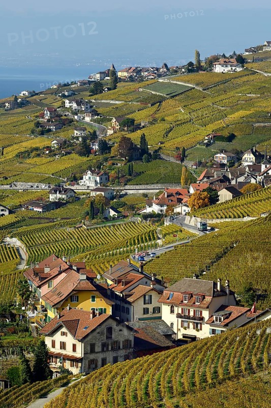 Vineyards in autumn with view of winemaking villages Epesses and Riex