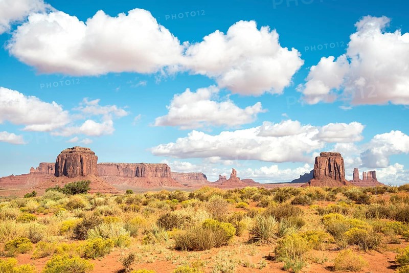 Scenic Drive