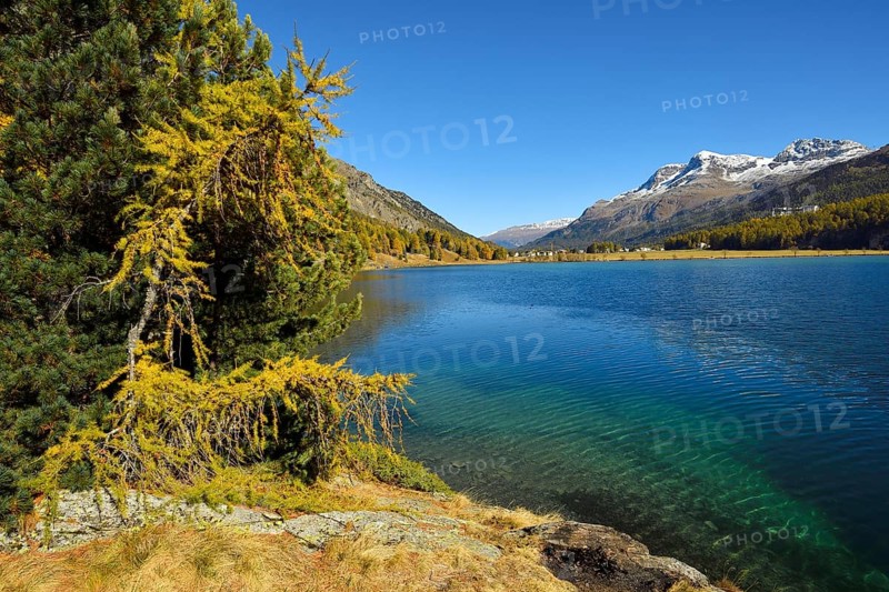 Lake Sils