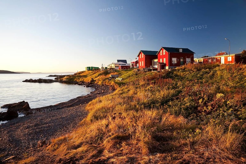 Red houses