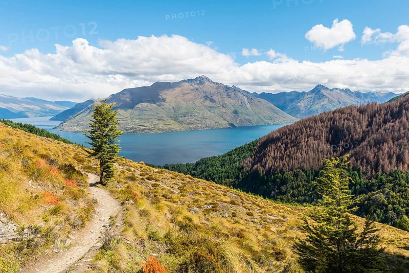 View of Lake Wakatipu