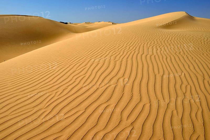 Sanddunes of Al Khaluf desert