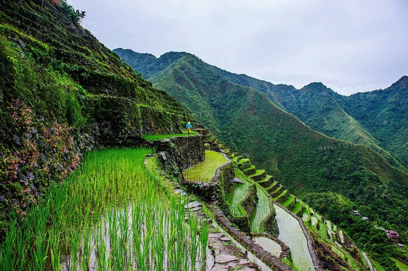 Batad rice terraces