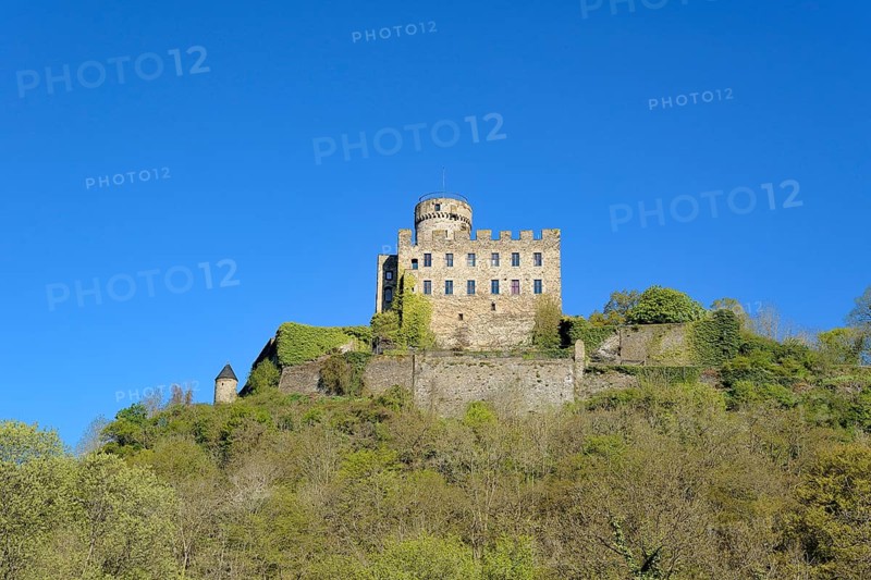 Castle Pyrmont in Roes