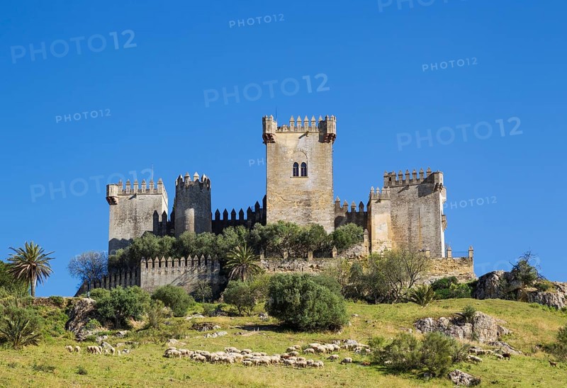 Castle of Almodovar del Rio with a flock of sheep