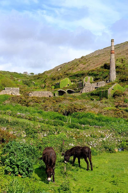 Ruins of a tin mine