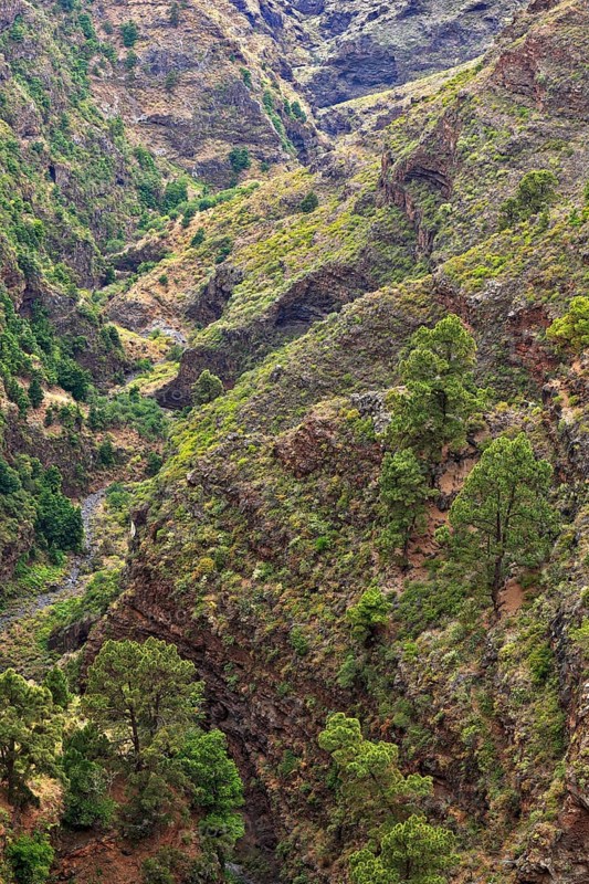Barranco De Garome