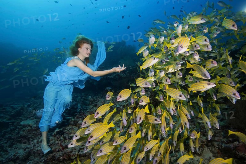 Beautiful woman in blue dress with school of fish Bluestripe Snappers