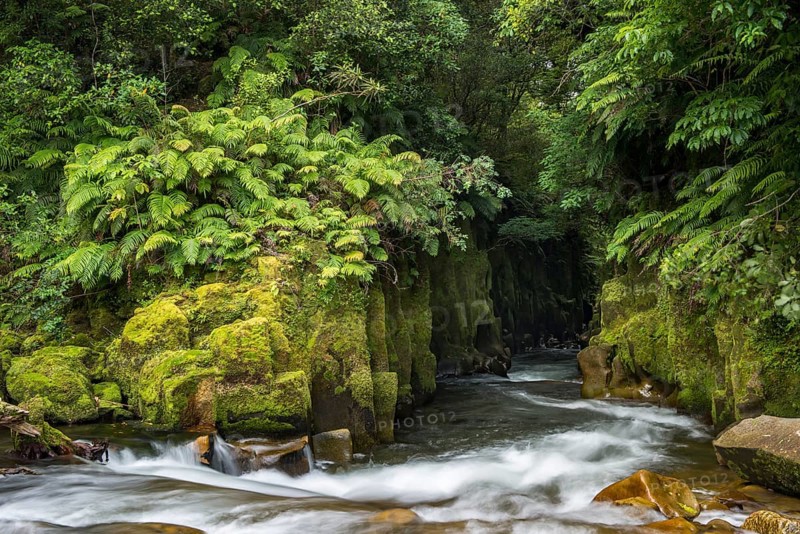 River running through Te Whaiti Nui Toi Canyon