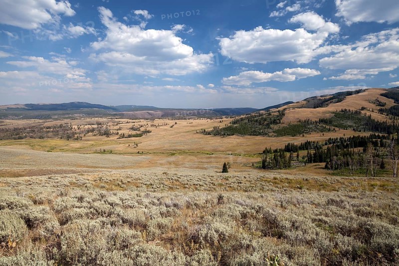 View from Grand Loop Road between Tower Roosevelt and Canyon Village on wide landscape